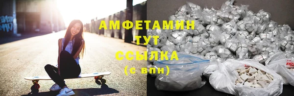 ГАЛЛЮЦИНОГЕННЫЕ ГРИБЫ Липки