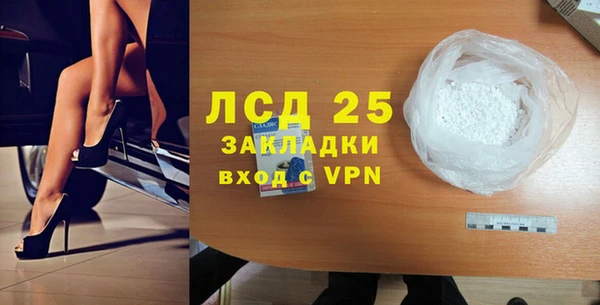 индика Майский