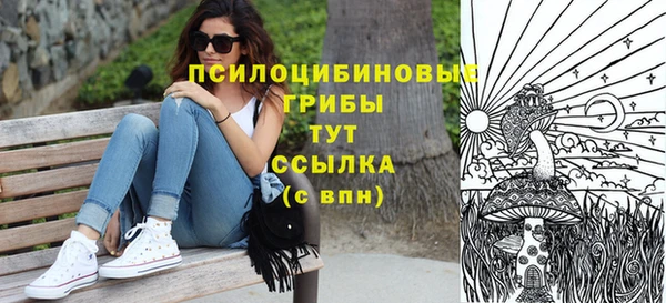 ГАЛЛЮЦИНОГЕННЫЕ ГРИБЫ Липки