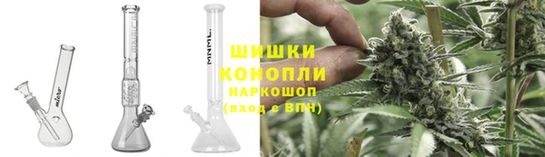 ГАЛЛЮЦИНОГЕННЫЕ ГРИБЫ Липки