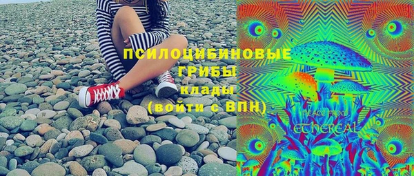 ГАЛЛЮЦИНОГЕННЫЕ ГРИБЫ Липки