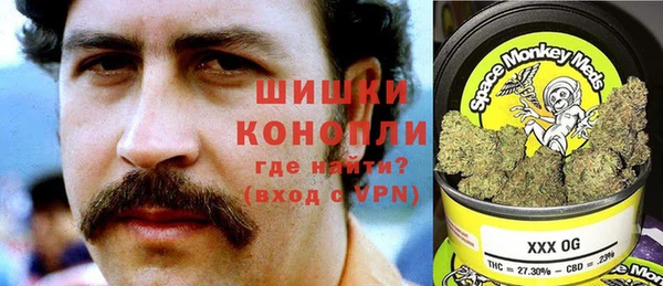 ГАЛЛЮЦИНОГЕННЫЕ ГРИБЫ Липки