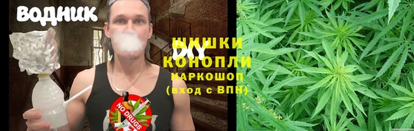 ГАЛЛЮЦИНОГЕННЫЕ ГРИБЫ Липки