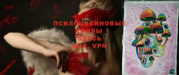 шишки Лихославль