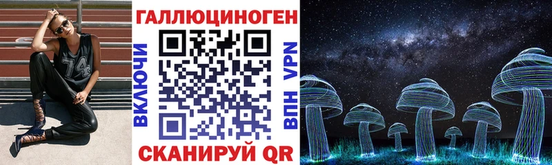 Псилоцибиновые грибы GOLDEN TEACHER  Купить где  Шацк 